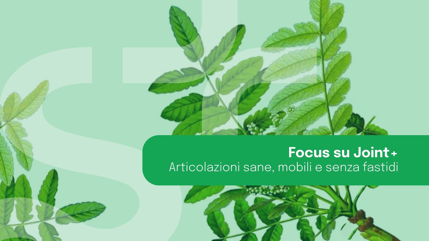 Focus su Joint+: articolazioni libere e flessibili