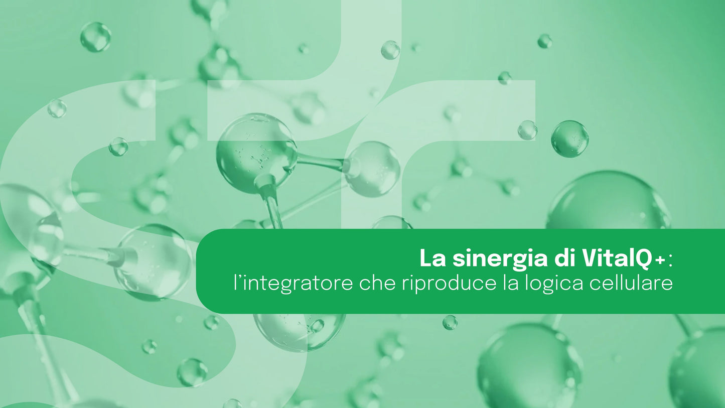 La sinergia di VitalQ+