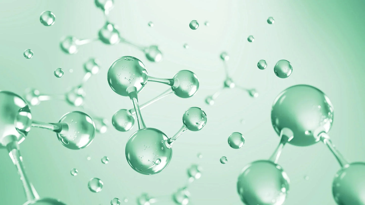 La sinergia di VitalQ+